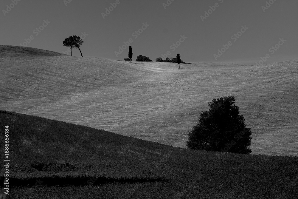 Obraz premium Italia panorami della Toscana in bianco e nero. Provincia di Siena,Val D'Orcia e Chianti Senese. Toscana, Italia 