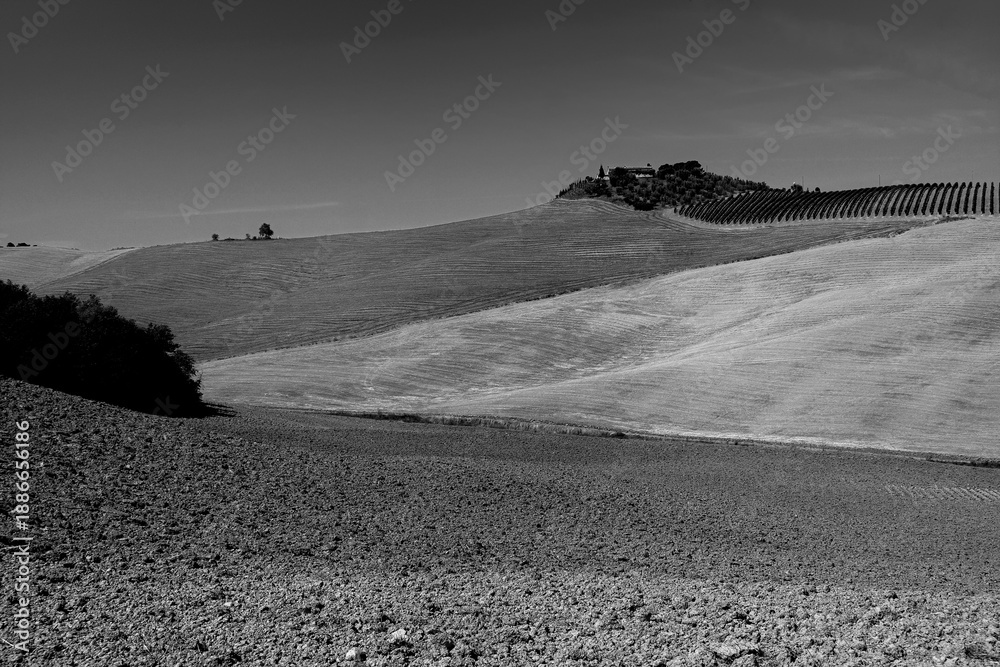 Obraz premium Italia panorami della Toscana in bianco e nero. Provincia di Siena,Val D'Orcia e Chianti Senese. Toscana, Italia 