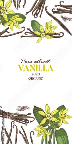 Vanilla vector vertical banner template