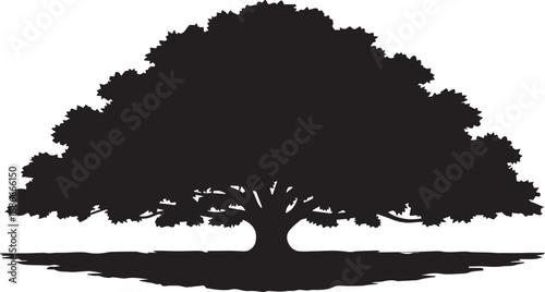 Large spreading oak tree vector silhouette with wide canopy and branches nature illustration