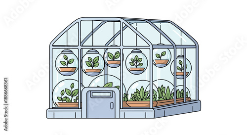 Glass greenhouse with a variety of indoor plants illustration.