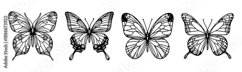 Isolated Ornate Butterfly Line Art Set on White, Vintage Engraving Insect Wings Vector Collection
