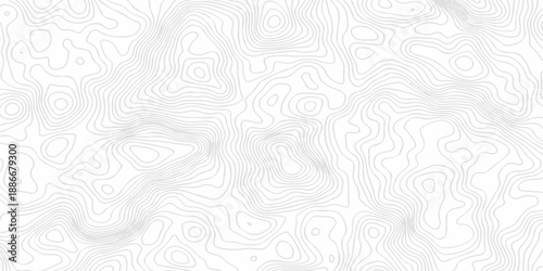 Contour abstract map relief land outline. Topographic map patterns. White wave paper curved reliefs abstract background. Background of the topography map. Abstract pattern with lines.