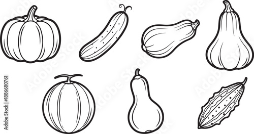 Assorted Squashes and Gourds Hand-Drawn Line Art Collection Isolated on white background