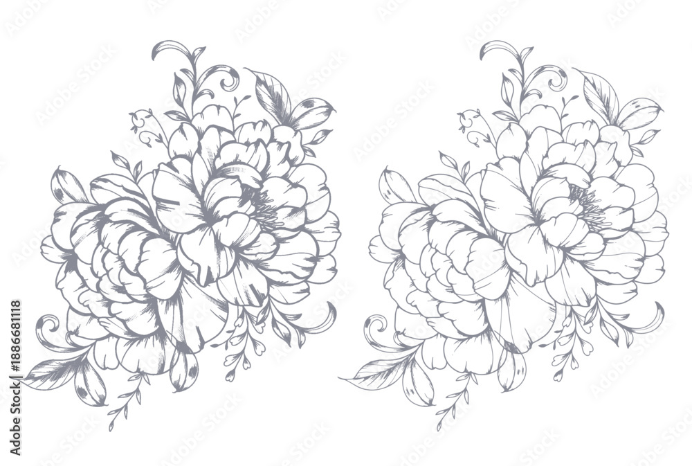 Fototapeta premium Vintage Peony Line Art. Trendy floral peony bouquets and flowers. Botanical Line Drawing Peony Collection. Hand drawn baroque flower bouquets. Peony Outline