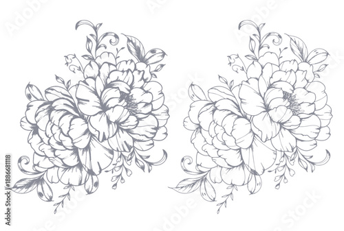 Vintage Peony Line Art. Trendy floral peony bouquets and flowers. Botanical Line Drawing Peony Collection. Hand drawn baroque flower bouquets. Peony Outline
