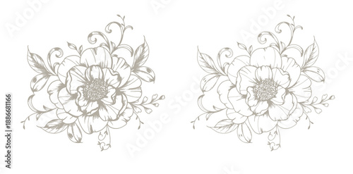 Vintage Peony Line Art. Trendy floral peony bouquets and flowers. Botanical Line Drawing Peony Collection. Hand drawn baroque flower bouquets. Peony Outline