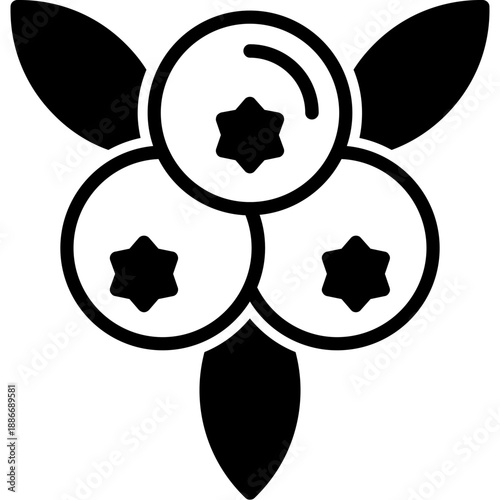 Berries Icon