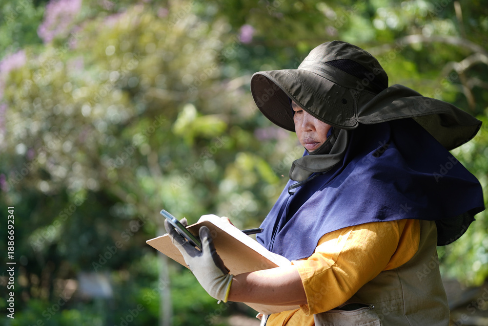 Obraz premium Middle-aged Southeast Asian woman in a sun hat, yellow shirt, utility vest, and yellow boots takes notes on her phone while surveying a forest. Gardening, landscaping, outdoor work, and agriculture