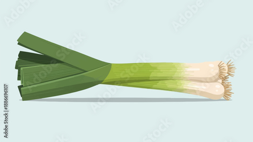 Two green leeks with white bases and root ends, presented horizontally
