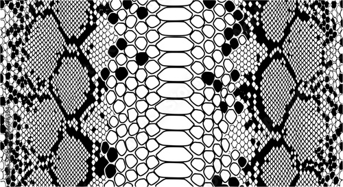 snakeskins texture, flat design, black and white