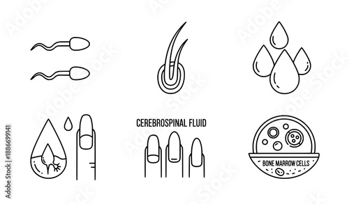 Laboratory human biomaterial outline icons