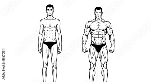 Comparison of a Slim Man and a Muscular Man's Body Transformation