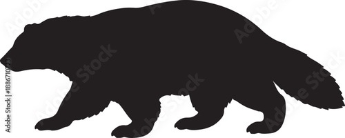 Wolverine silhouette black & white vector illustrator design template 