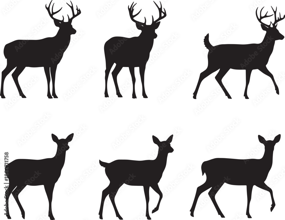 Fototapeta premium Silhouettes of majestic deer and fawns, showcasing their elegant poses and majestic antlers, perfect for nature and wildlife themes