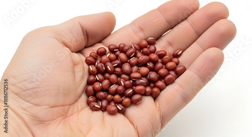 Hand holding red kidney beans