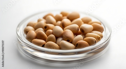 Glass Bowl Filled with Brown Lentils