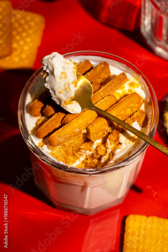 Viral Two Ingredient Dessert, Japanese Style Cheesecake Made with Yogurt and Biscuits, Simple No Bake Homemade Sweet