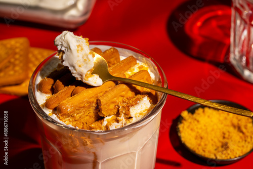 Viral Two Ingredient Dessert, Japanese Style Cheesecake Made with Yogurt and Biscuits, Simple No Bake Homemade Sweet