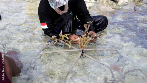 Close-up of hands attaching live coral fragments to a metal rebar structure with cable ties, part of a reef restoration project in shallow tropical waters. Marine conservation concept background
