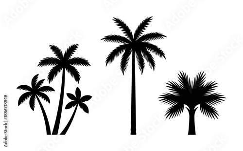 Download tropical palm tree silhouette vector art illustration design for free use and commercial projects