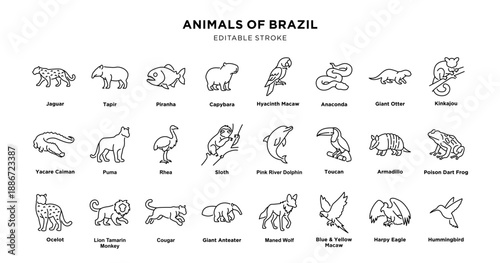 Illustration of Brazilian Animals with editable stroke