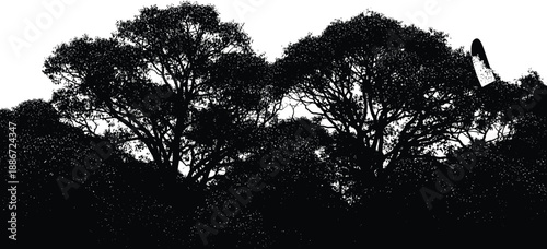 Dense woodland canopy silhouette with overlapping tree crowns against white sky creating dramatic natural forest background for stock and design use