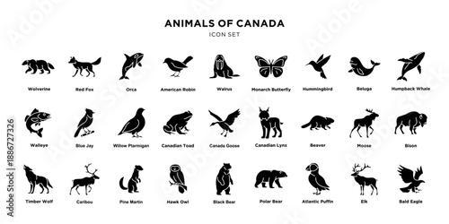 Animals of Canada Icon Set