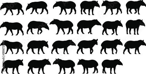 Collection of tapir silhouettes featuring exotic South American and Asian wildlife in various walking and standing poses isolated on white background for design