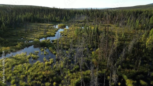 Drone shot flying above pristine boreal woodland with muskeg and winding water channels in Canada during early morning light with blue sky and sunshine.