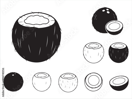 Collection of Coconut Illustrations in Black and White