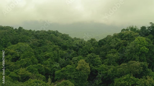 Aerial view of a vibrant and dense forest canopy with varied shades of green, under a grey sky filled with clouds, Sakleshpura, Karnataka, India.