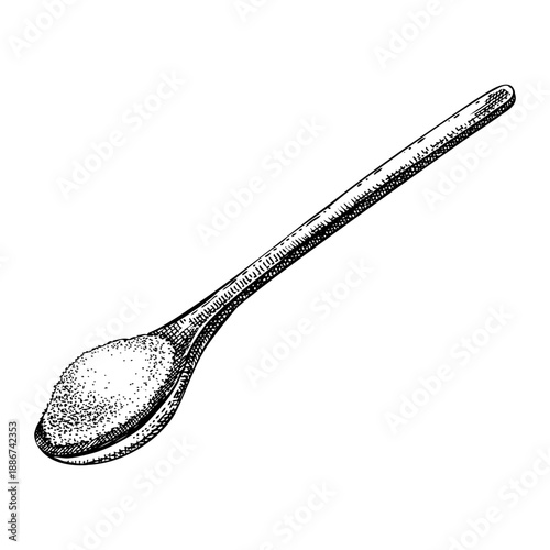 Hand drawn spoon with spice powder vector illustrations. Ground spice sketch. Organic cooking ingredient, herbal medicine, food packaging design. NOT AI generated