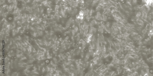 abstract wave element for design pink and white. Design template for cover, business. Abstract dynamic color lines, waves. Vector geometric backgrounds.	791