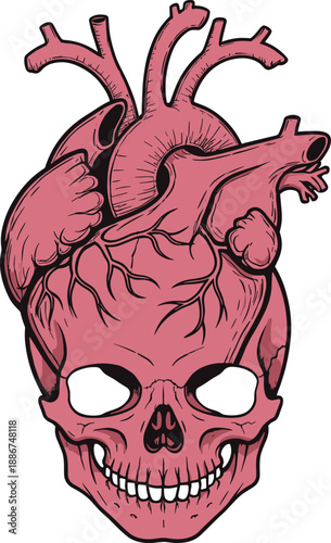 Pink anatomical human heart integrated with a human skull featuring detailed veins and arteries for medical horror biology education and gothic t-shirt design flat vector illustration.