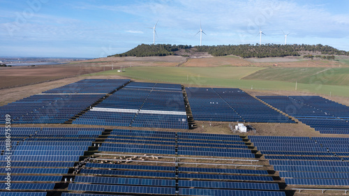 Sheep grazing among solar panels in renewable energy rural landscape