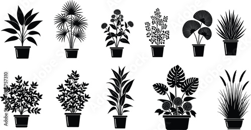 Collection of indoor potted plant silhouettes, various houseplant leaf shapes in pots, garden botanical elements, vector illustration set isolated on white background, black