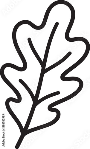 Oak leaf outline – Nature and heritage botanical line art vector