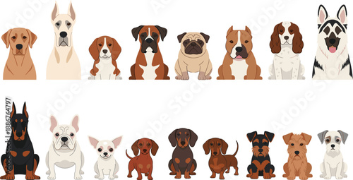 Dog breeds collection showing different puppy and adult dogs sitting poses vector illustration set