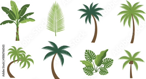 Tropical palm tree and exotic plant vector set with green foliage elements isolated