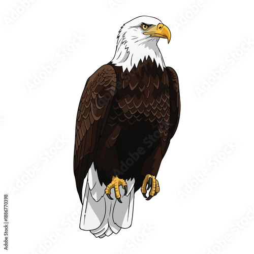 Bald eagle vector illustration perched on branch against white background design