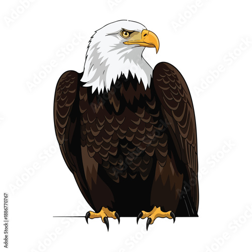 Bald eagle vector illustration perched on branch against white background design