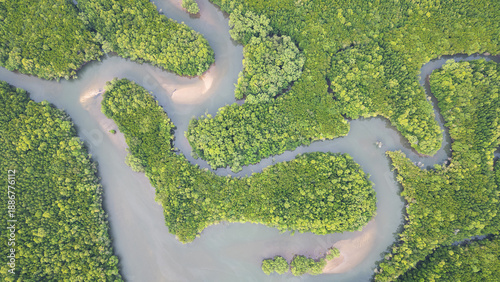 Photos Kubang Badak Mangrove Reserve on Langkawi Island, Malaysia.