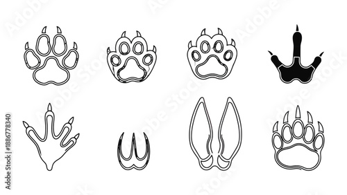 Wildlife Tracks: An artistic monochrome representation of an array of animal tracks, providing a glimpse into the unseen world of wildlife.