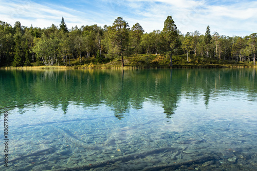 Φωτογραφία Crystal clear turquoise water of Blanktjärn lake, reflection of birch trees and forest on the shore