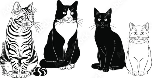 Cat illustration silhouette and line art icon set featuring different domestic cats isolated black and white vector drawings