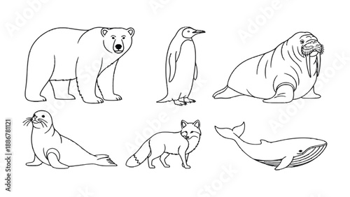 Arctic Wildlife Illustration: An illustrative portrayal of arctic animals, showcasing a majestic polar bear, a regal penguin, a walrus, a seal, a cunning fox, and a graceful whale.