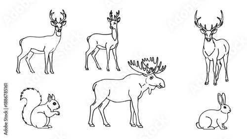 Wildlife Outline: A collection of various wild animals in simplistic outline form, perfect for educational content or creative projects, showcasing the diversity of nature's creatures.