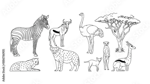 African Wildlife Outline: An illustration of a zebra, wildebeest, ostrich, hyena, cheetah, baby animal, meerkat, gazelle, and acacia tree in the savannah, presenting an outline of African wildlife.