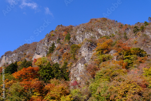 日本の秋の風景